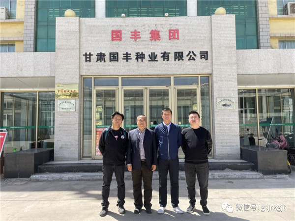 开云足球基金前往渭源马铃薯种薯科技示范园调研