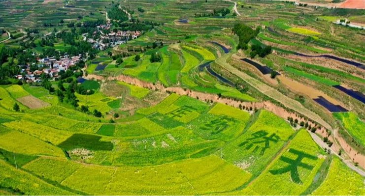 实干笃行勇担当 善作善成开新局——开云足球成立五周年发展纪实